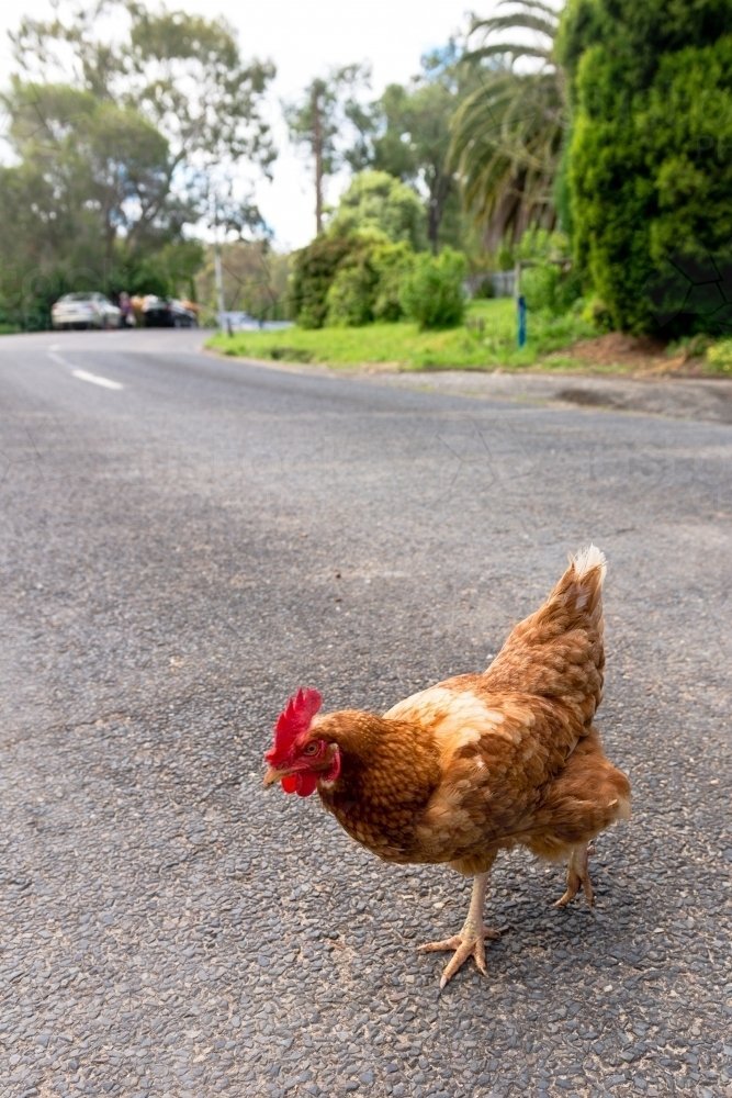 Een spannend avontuur op de Chicken Road Casino online gokspel in Netherlands